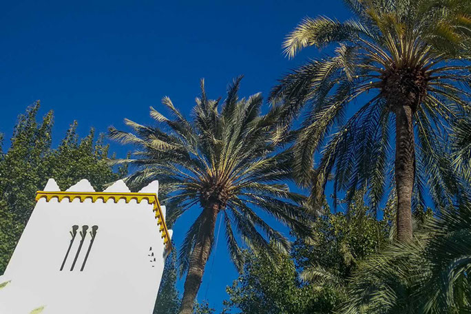Vue du port depuis les remparts du Chateau Santa Barbara