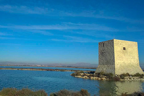 Vue du port depuis les remparts du Chateau Santa Barbara