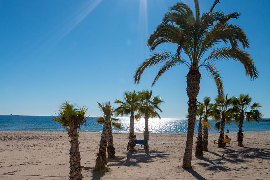 Vue du port depuis les remparts du Chateau Santa Barbara