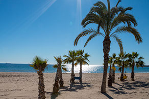 Vue du port depuis les remparts du Chateau Santa Barbara
